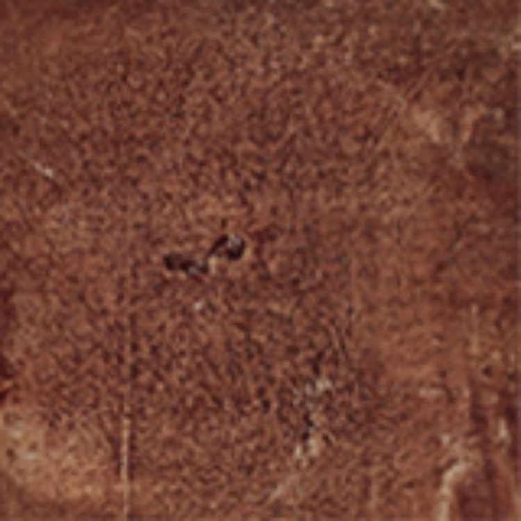 Color CL-M12