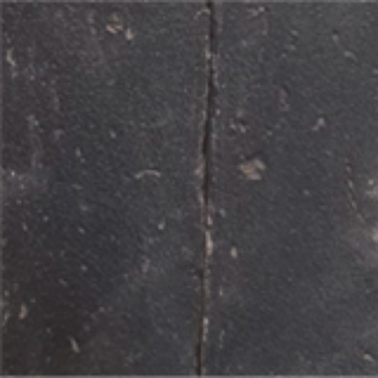 Color CL-M19