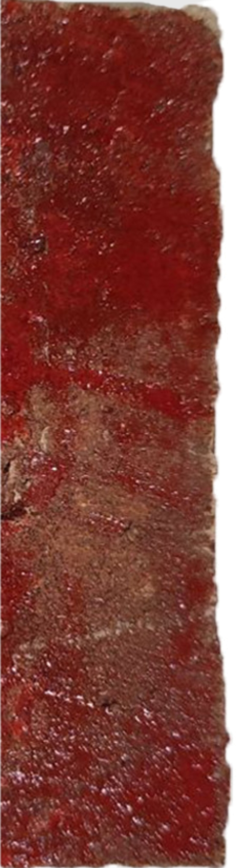 Glazed Bricks